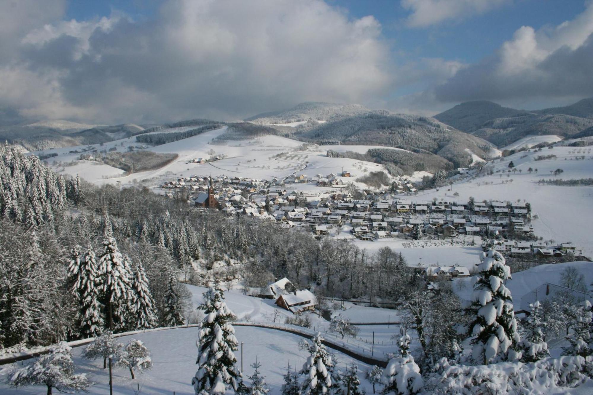 Ferienwohnungen Golla-Lang Oberharmersbach Exteriér fotografie