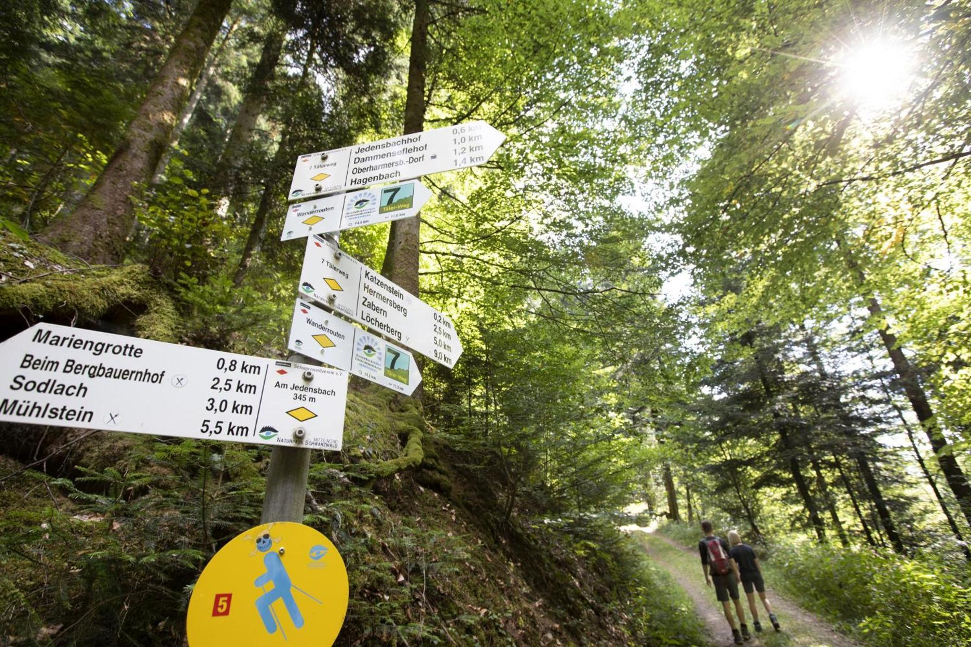 Ferienwohnungen Golla-Lang Oberharmersbach Exteriér fotografie